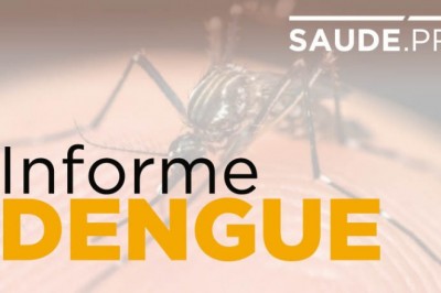 Paraná tem primeiro óbito por dengue no período epidemiológico
