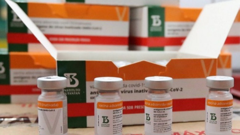 Paraná distribui novo lote de vacinas contra o coronavírus; veja divisão por regional