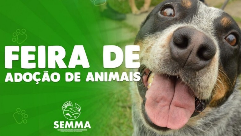 Dia Mundial do Meio Ambiente ter&aacute; feira de ado&ccedil;&atilde;o no Aeroparque