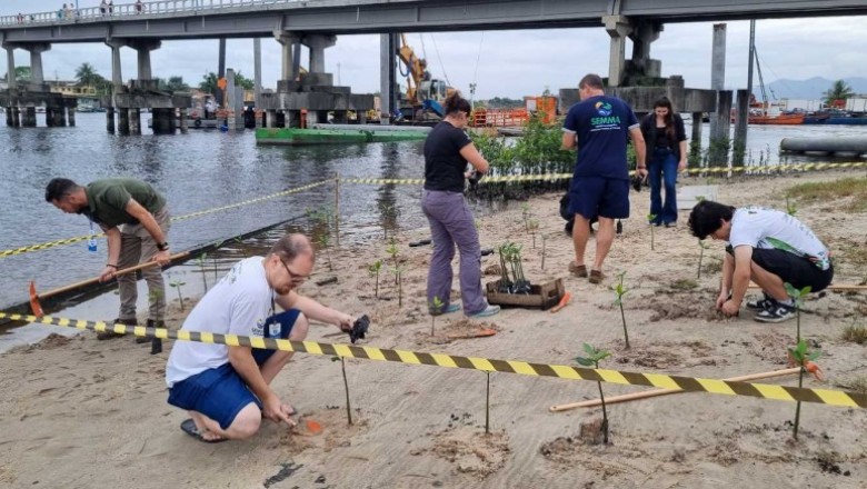 Ação ambiental conjunta marca o Dia do Rio Itiberê