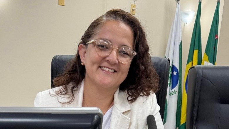 Vereadora protocola of&iacute;cio e solicita averigua&ccedil;&atilde;o e ado&ccedil;&atilde;o de medidas quanto ao aumento expressivo de insetos no munic&iacute;pio