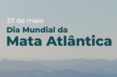 Saneamento e Mata Atl&acirc;ntica: entenda a rela&ccedil;&atilde;o que impacta diretamente Paranagu&aacute;